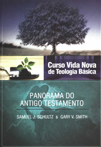 Curso Vida Nova De Teologia Básica – Vol. 2 – Panorama Do Antigo Testamento