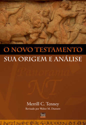 O Novo Testamento sua origem e análise