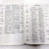 Biblia-Thompson-Azul-e-Amarelo-interno