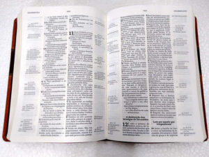 Bíblia-Thompson-letra-grande-Marrom-interno
