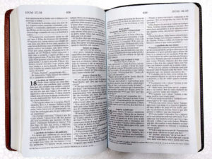 Bíblia-do-Ministro-preto-marrom-interno