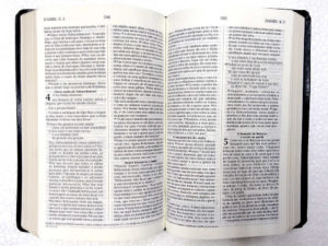 Bíblia-do-ministro-NVI-preta-Luxo-interno