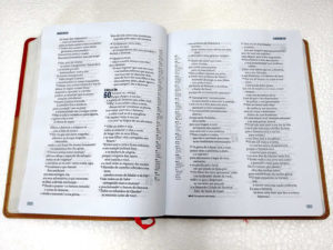 Bíblia-ministerial-Vermelho-e-beje-interno