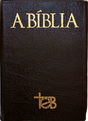 Bíblia TEB - Marrom rústico- Zíper