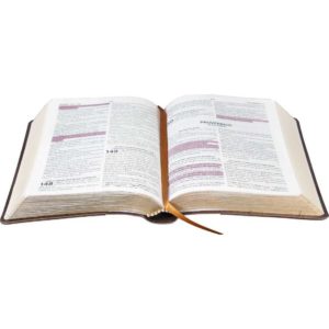 Bíblia Sagrada Letra Maior com Fonte de Benção Marrom