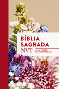 Bíblia nvt