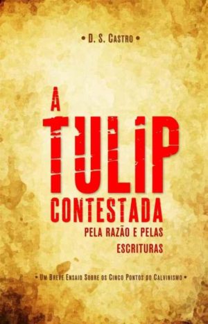 A tulip contestada