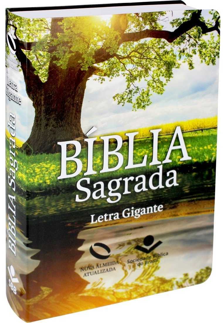 Bíblia Sagrada Nova Almeida Atualizada Reflexo