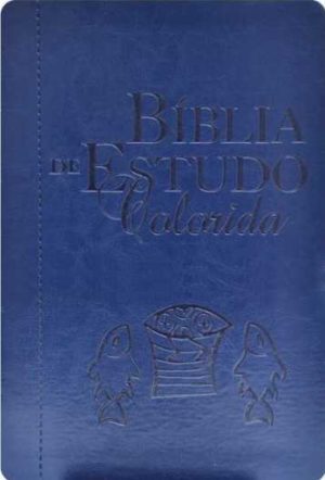 Bíblia de estudo colorida - Azul - Bv Books