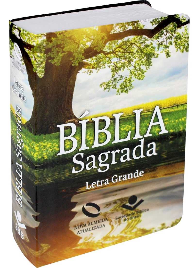 Bíblia Sagrada Nova Almeida Letra Grande Reflexo C/ Índice