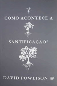 Como Acontece A Santificação?