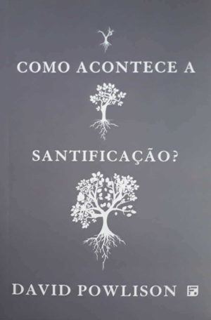 Como acontece a santificação ? - David Powlison