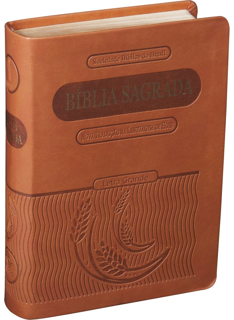 Bíblia Sagrada Pequena Ntlh – Letra Grande – Marrom