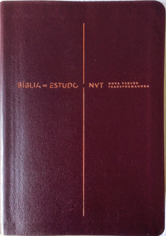Bíblia De Estudo Nvt | Vinho