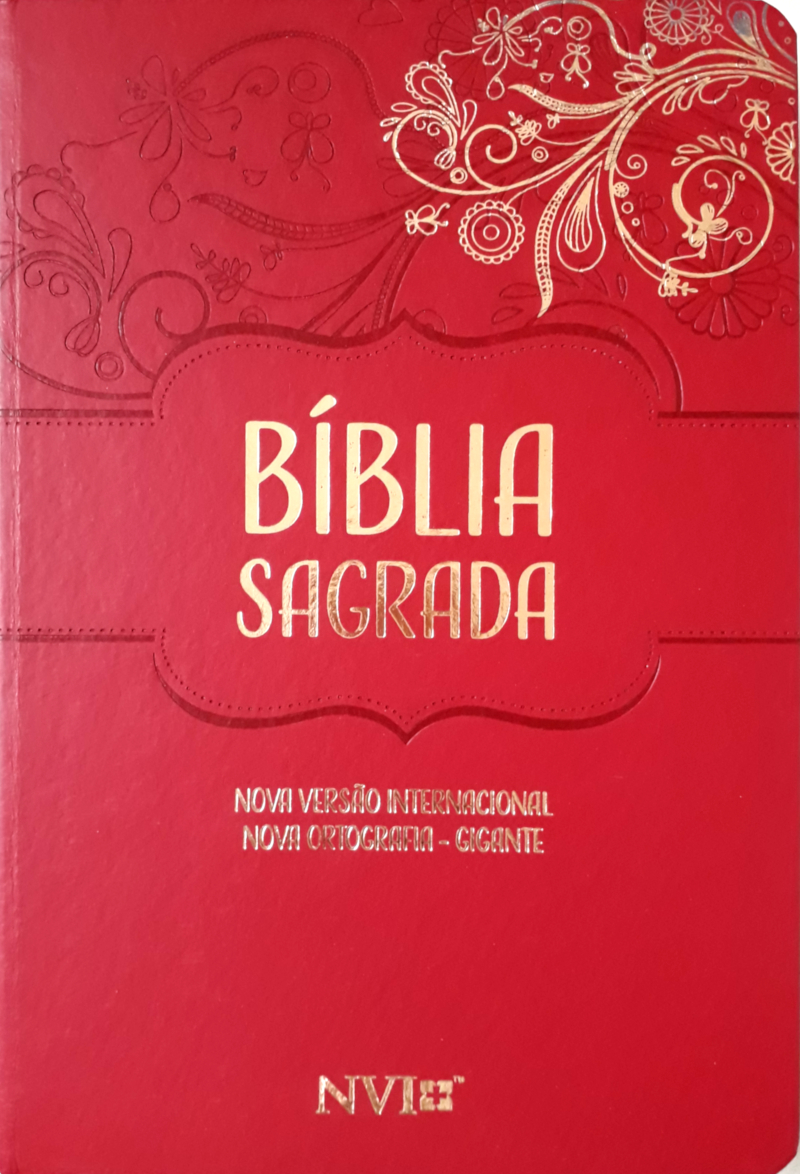 Bíblia Sagrada Nvi – Nova Ortografia – Gigante | Semi Luxo Vermelha