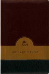 Bíblia De Estudo Nvi | Verde, Bege E Vinho