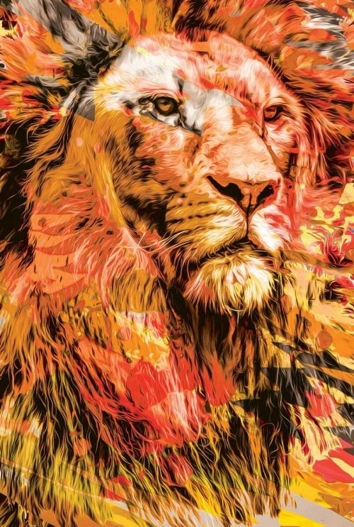 Bíblia NTLH YouVersion The Lion Fogo