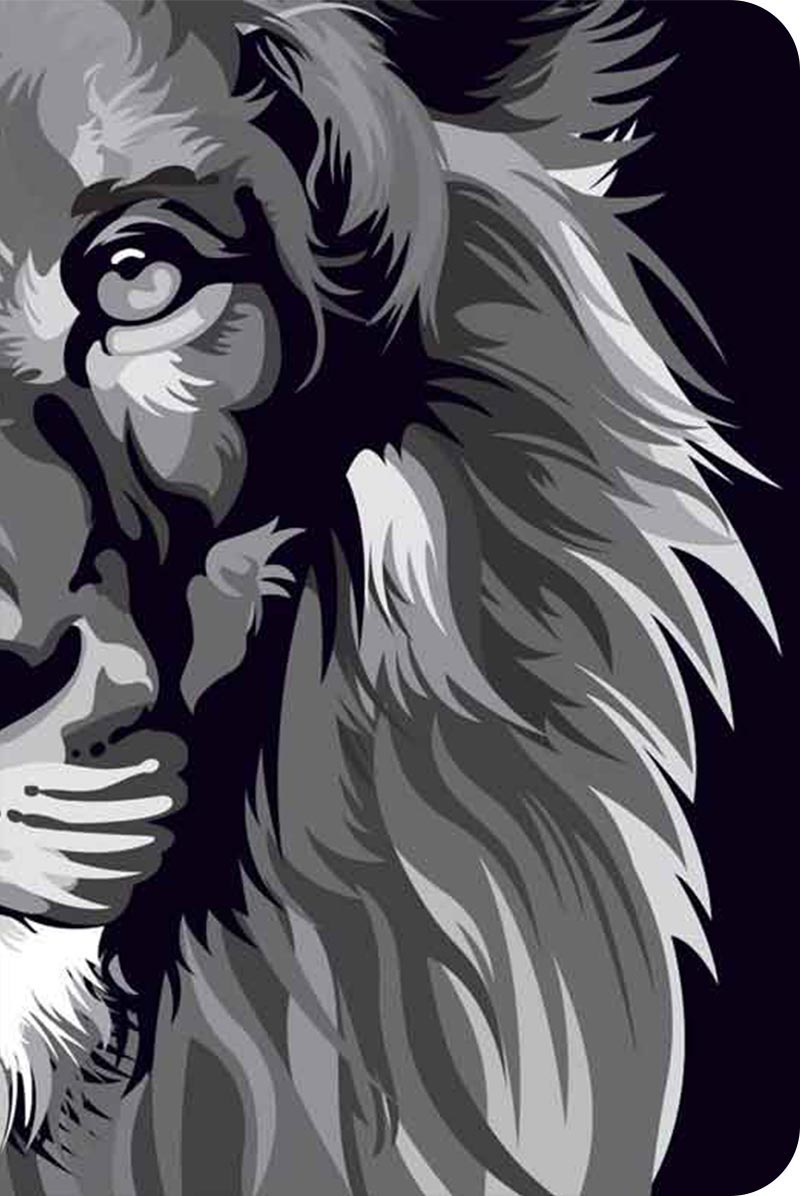 Bíblia NVT 960 Lion Colors Black & White