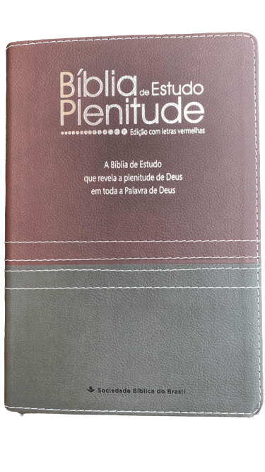 Bíblia de Estudo Plenitude  RC  Bordo/Chumbo