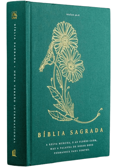 Bíblia Sagrada NVI Com Espaço para Anotações Capa Dura Verde