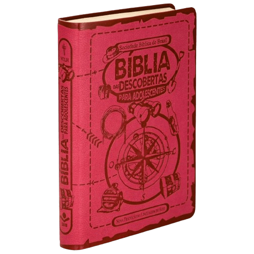 Bíblia Das Descobertas Para Adolescentes Rosa Aston