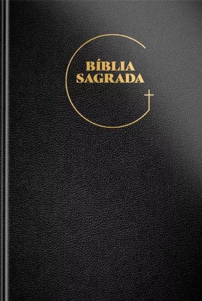 Bíblia Sagrada NVT Letra Grande Luxo Preta
