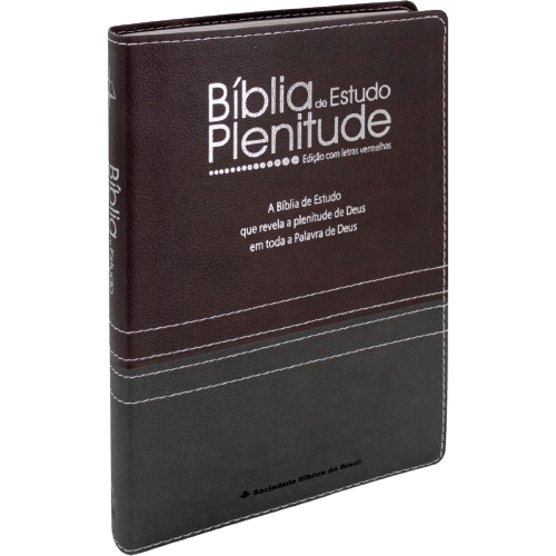 Bíblia de Estudo Plenitude RC Bordo/Chumbo com Índice