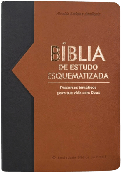 Bíblia de Estudo Esquematizada RA Preto e Marrom