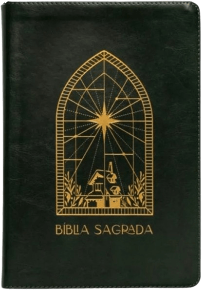 Bíblia Sagrada Almeida Século 21 Paper Purpose Verde