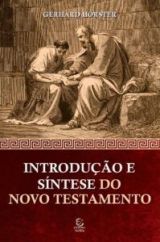 Introdução E Síntese Do Novo Testamento 4 edição