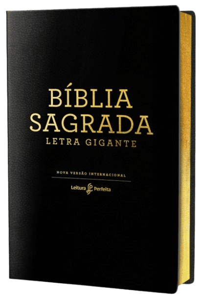 Bíblia Sagrada NVI Preto Letra Gigante Leitura Perfeita