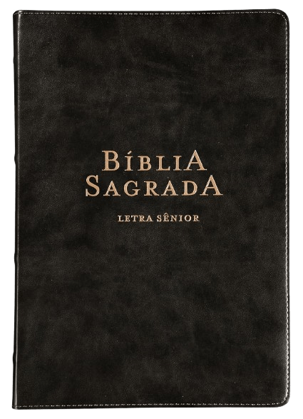 Biblia NVI Letra Senior Couro